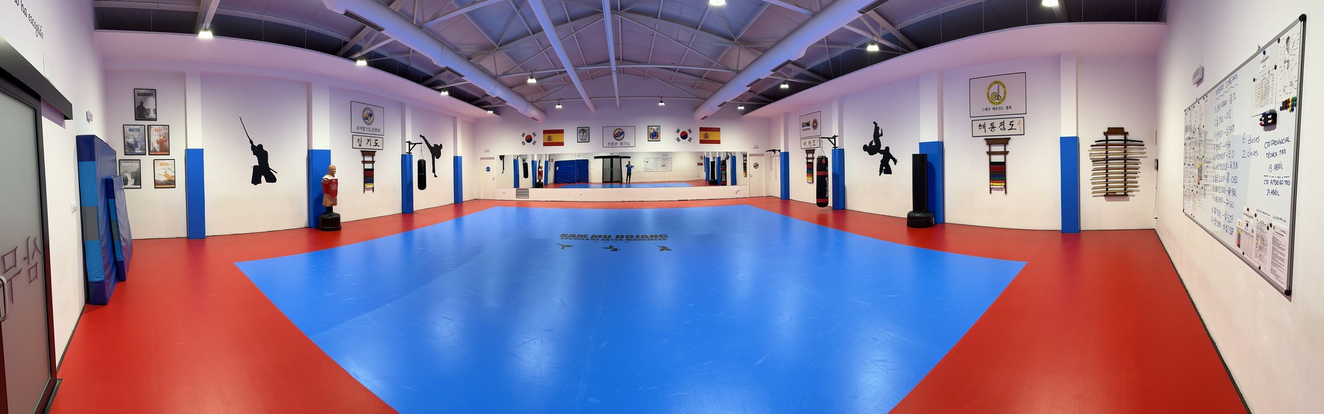 Panorámica del tatami de 210 m²